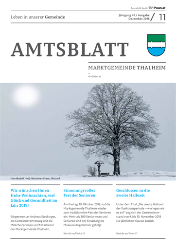 Amtsblatt11_2018_WEB.pdf