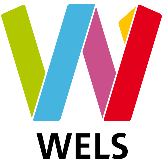 Logo Wels
